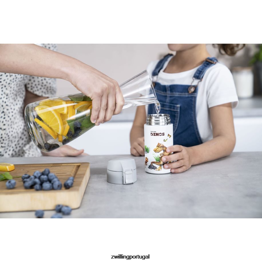 Zwilling cozinha 442PVP534 garrafa para beber dinos dinos, 350 ml, aço inoxidável, branco-cinza