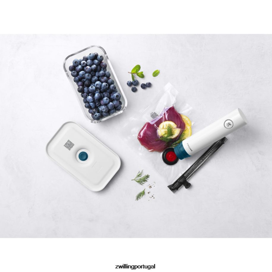 Zwilling cozinha 442PVP462 bomba de vácuo fresca e salva com tampa, la mer