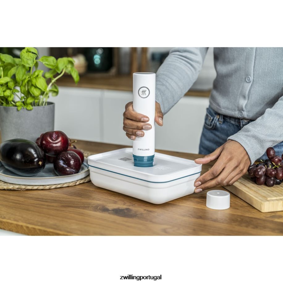 Zwilling cozinha 442PVP462 bomba de vácuo fresca e salva com tampa, la mer