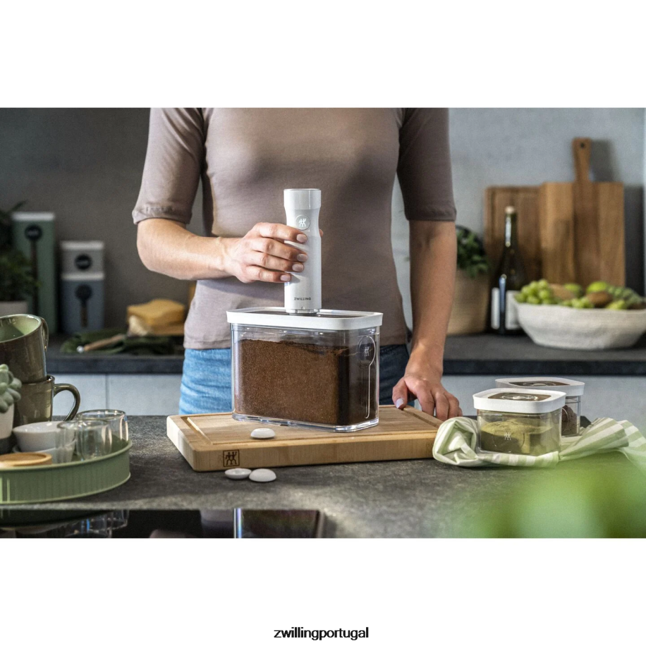 Zwilling cozinha 442PVP468 recipiente para cubos frescos e salvos de 3 m, 3 qt, branco transparente