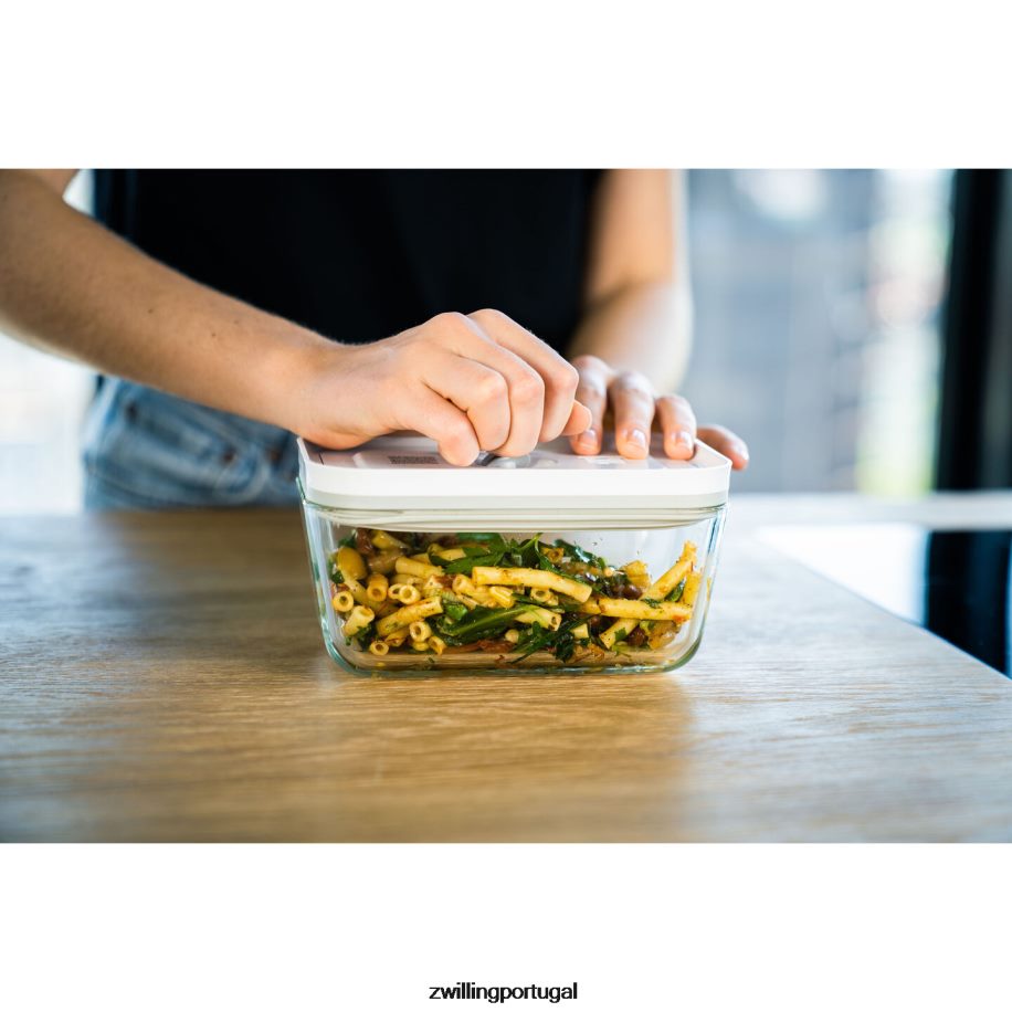 Zwilling cozinha 442PVP471 Fresh & Save Recipiente de médio vácuo m / 2 peças, vidro, cinza