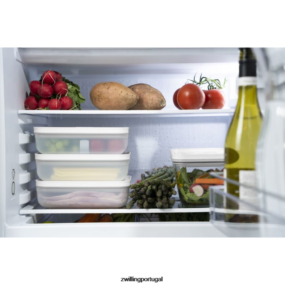 Zwilling cozinha 442PVP473 Fresh & save l lancheira plana a vácuo, plástico, cinza semitransparente