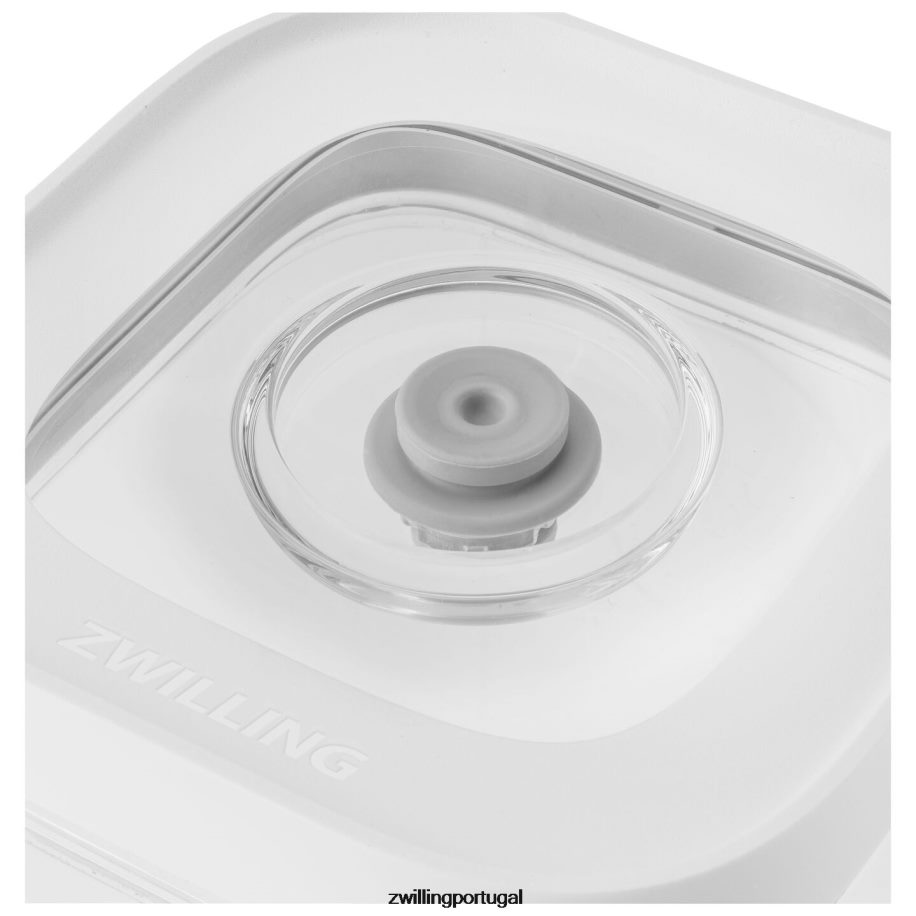 Zwilling cozinha 442PVP481 recipientes para cubos frescos e salvos, 0,35 qt, branco transparente