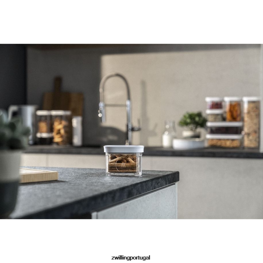 Zwilling cozinha 442PVP481 recipientes para cubos frescos e salvos, 0,35 qt, branco transparente