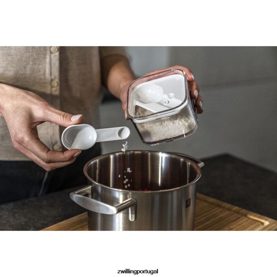 Zwilling cozinha 442PVP481 recipientes para cubos frescos e salvos, 0,35 qt, branco transparente