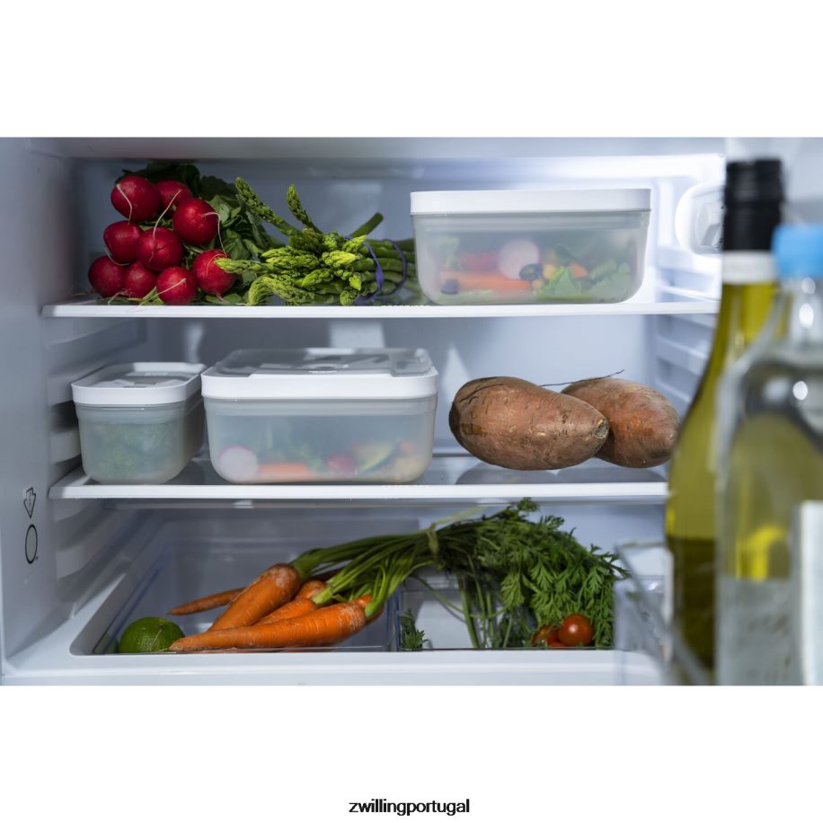 Zwilling cozinha 442PVP486 recipiente refrigerador a vácuo Fresh & Save, plástico, cinza semitransparente