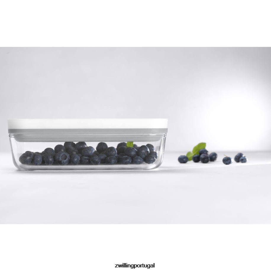 Zwilling cozinha 442PVP492 recipiente a vácuo Fresh & Save S, vidro, cinza