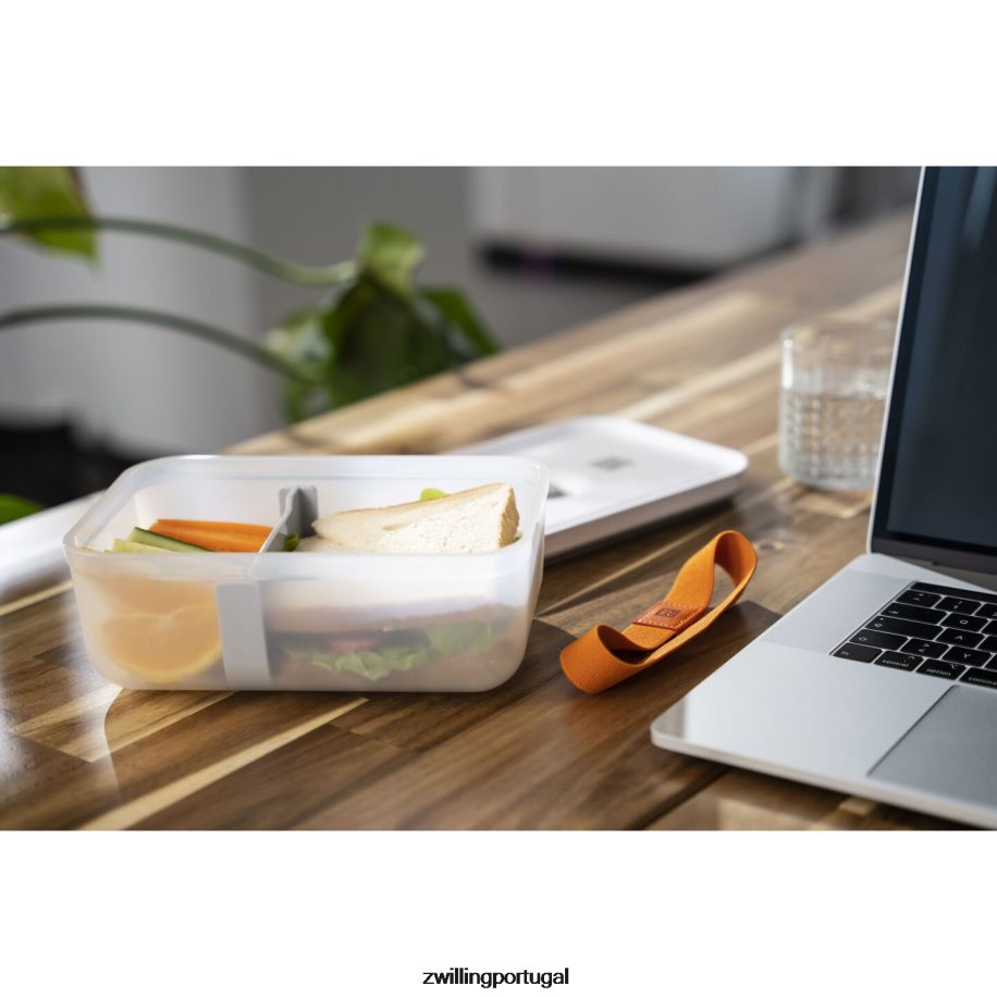 Zwilling cozinha 442PVP493 Fresh & save l lancheira a vácuo, plástico, cinza semitransparente
