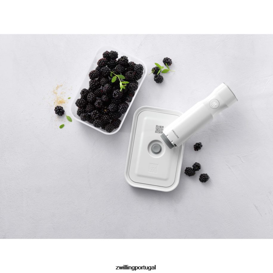 Zwilling cozinha 442PVP503 recipiente a vácuo Fresh & Save m, plástico, cinza semitransparente